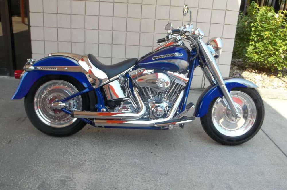 Buy 2005 Harley-Davidson FLSTFSE 