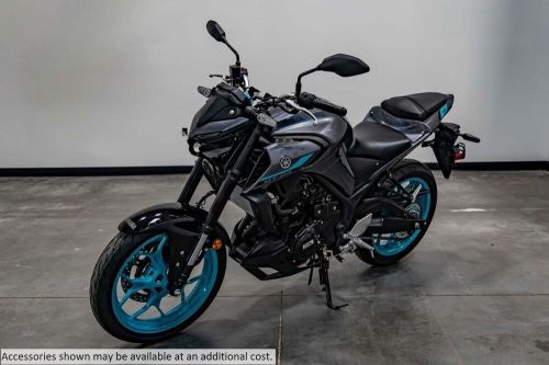 2024 yamaha mt 03