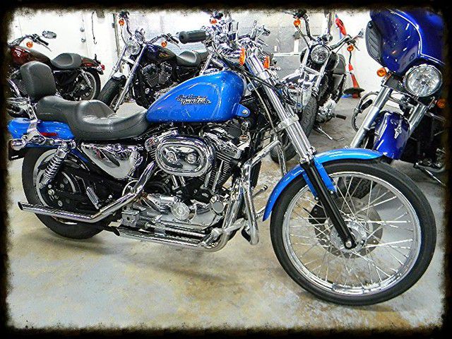 2002 harley davidson sportster 1200 custom xl1200c - pompano,florida