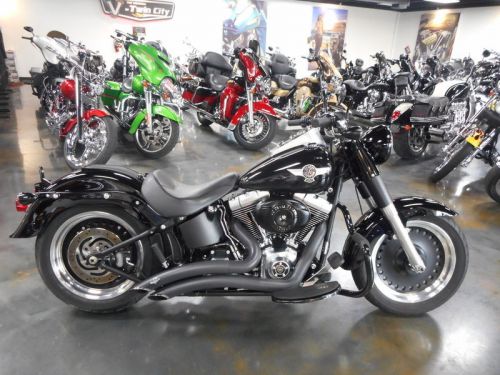 2010 harley-davidson softail