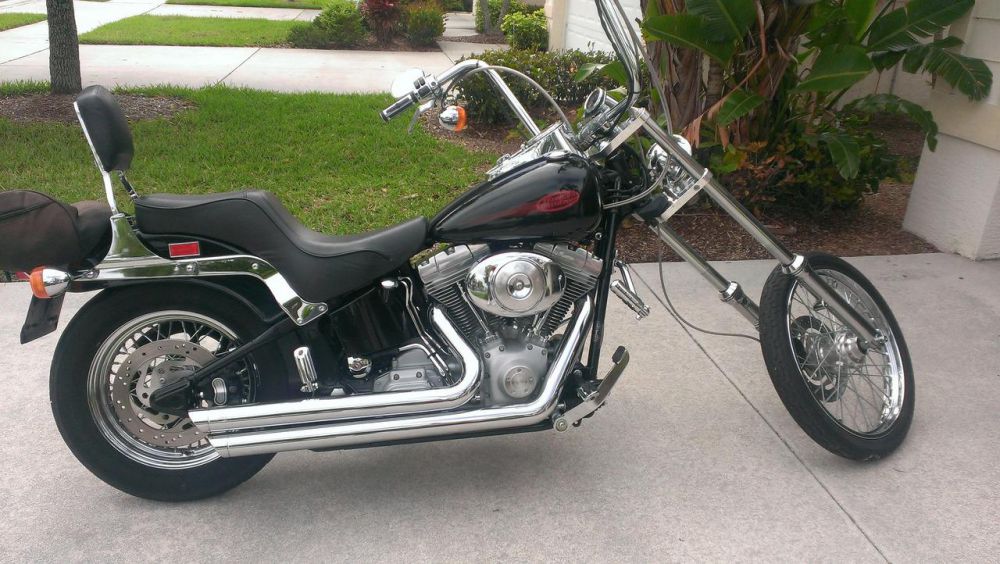 2001 Harley-Davidson Softail STANDARD Custom 