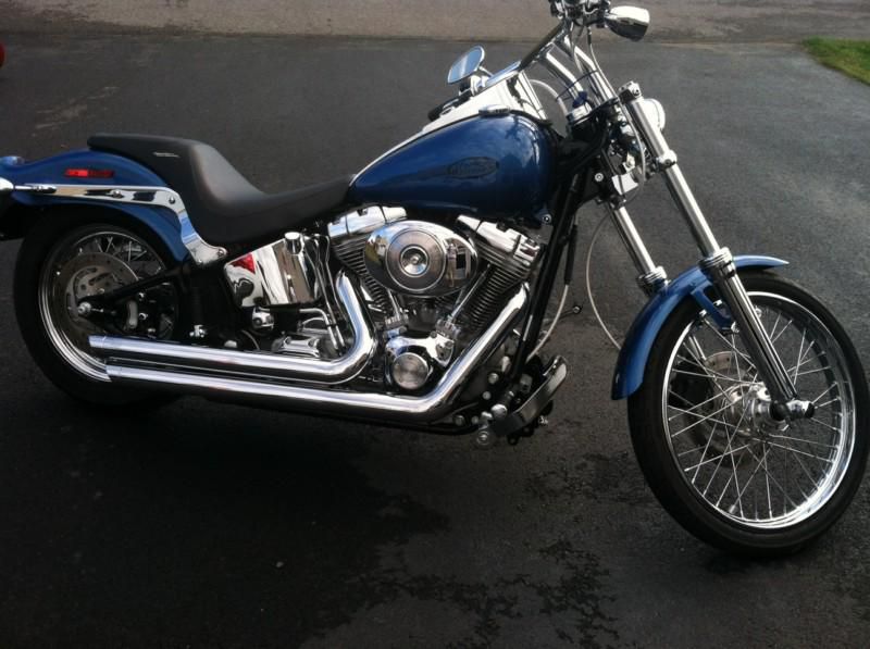 2005 Harley Davidson Softail Standard - NO RESERVE!!!