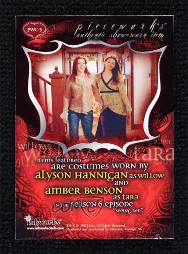 2003 buffy the vampire slayer connections alyson hannigan amber benson 18hi