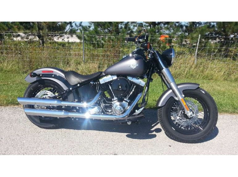 2014 harley-davidson fls softail slim 