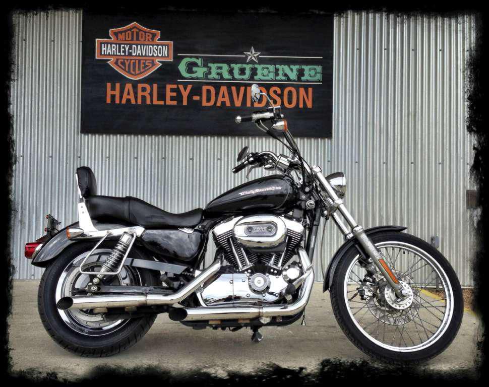 2004 harley-davidson sportster xl 1200 custom  cruiser 