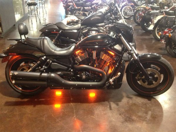 2008 harley-davidson night rod special