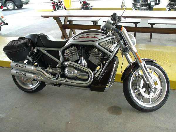 2006 harley-davidson vrsca v-rod  cruiser 