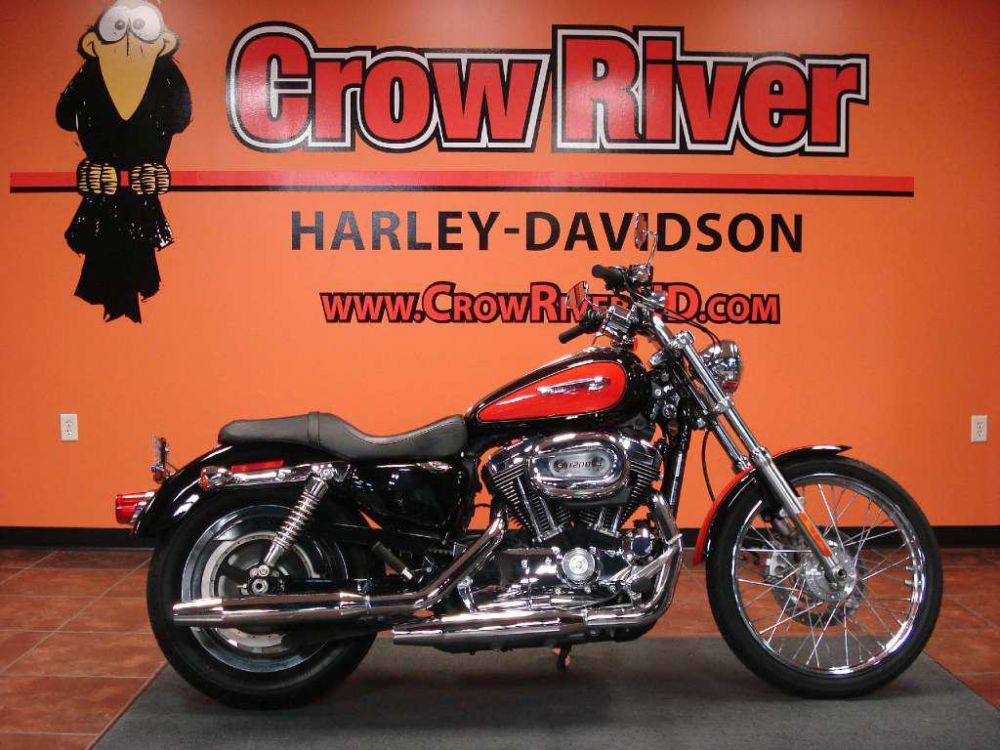 2008 harley-davidson xl 1200c sportster 1200 custom  cruiser 