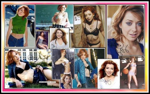 Alyson hannigan, signed, collage cotton canvas image. limited edition (ah-3)