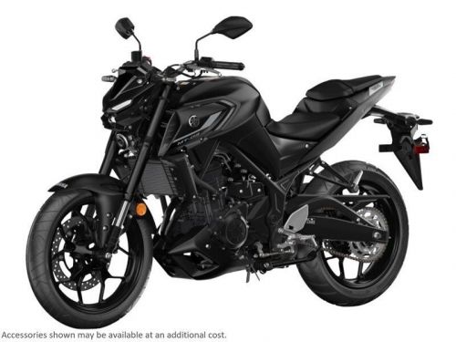 2024 yamaha mt 03