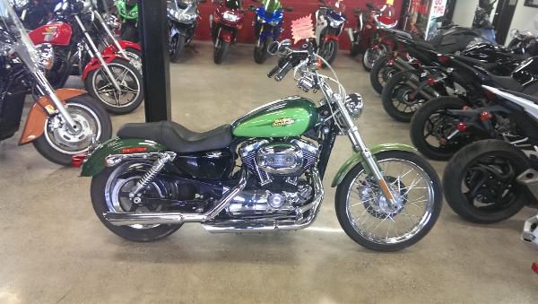 2008 harley-davidson xl 1200c sportster 1200 custom