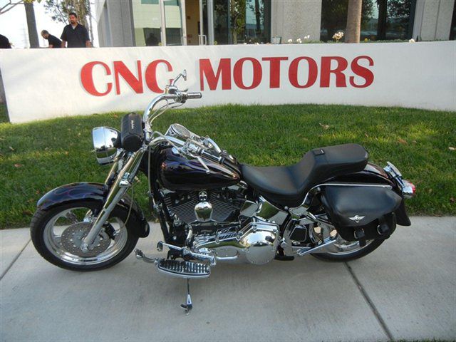 2001 Black Harley Davidson FLSTFI