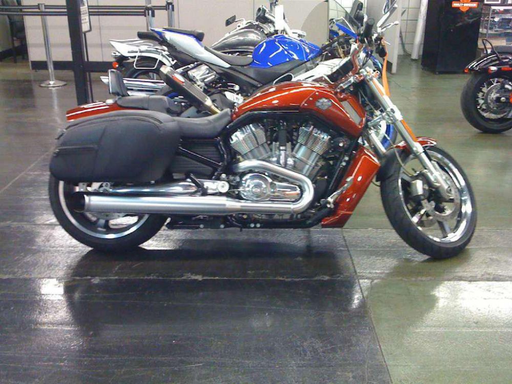 2009 harley-davidson vrscf v-rod muscle  cruiser 