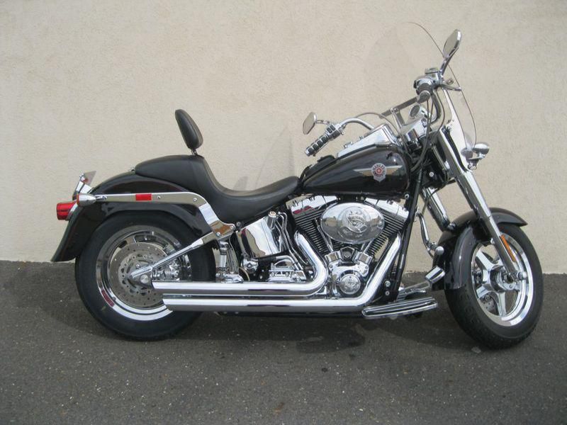 2002 Harley-Davidson FLSTFI Cruiser 