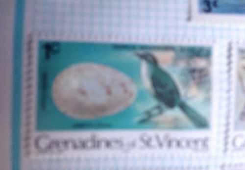 Grenadines of St Vincent - 1978 - Birds &amp; Eggs - Mockingbird - 1c - Unused