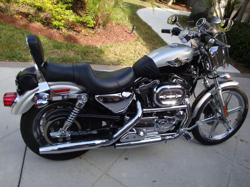 2003 1200 custom anniversary sportster