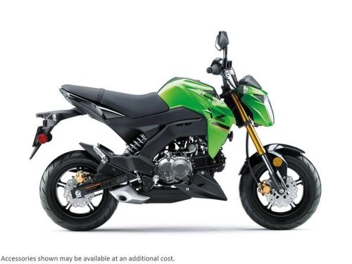 2024 kawasaki z125 pro