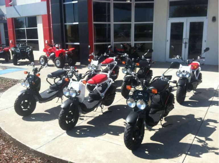 2013 honda ruckus (nps50) 