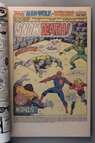 Marvel Team-Up #37 *1975* Featuring: Spider-Man and Man-Wolf ~ Cover, Hannigan