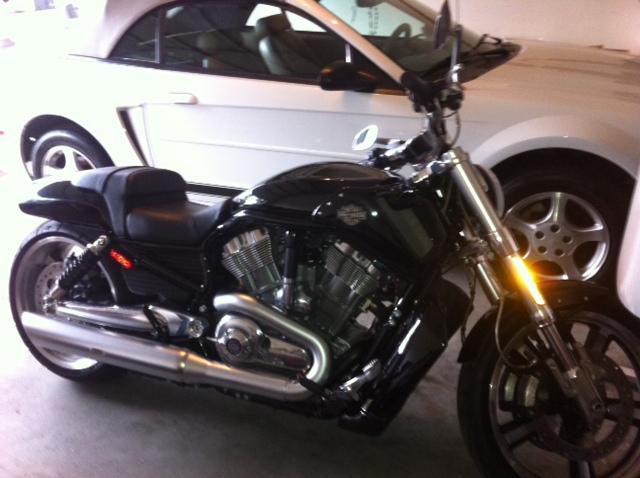 2011 harley davidson v rod muscle