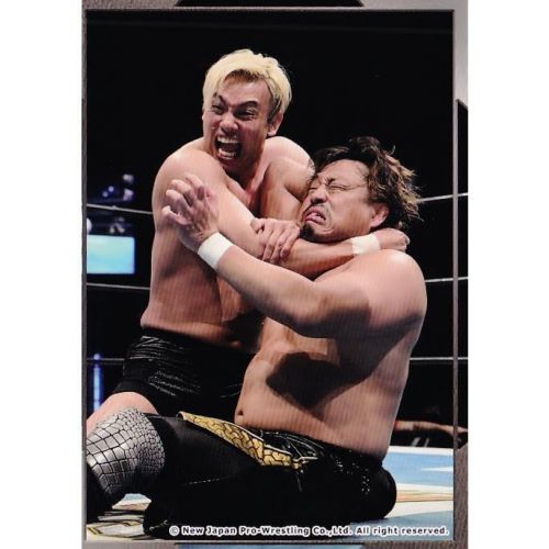 Bushiroad New Japan Pro-Wrestling &amp; Stardom Trading Card vol.2 Variation