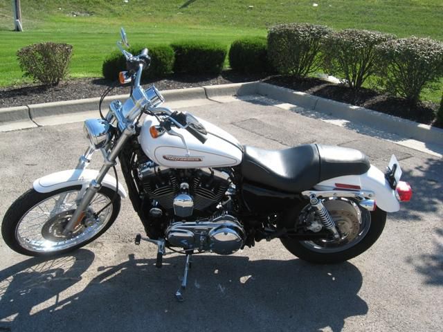 2008 harley-davidson xl 1200c - sportster 1200 custom  cruiser 