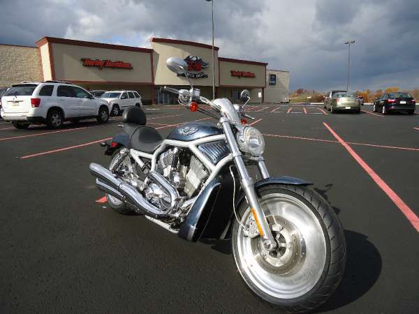 2003 harley-davidson vrsca v-rod