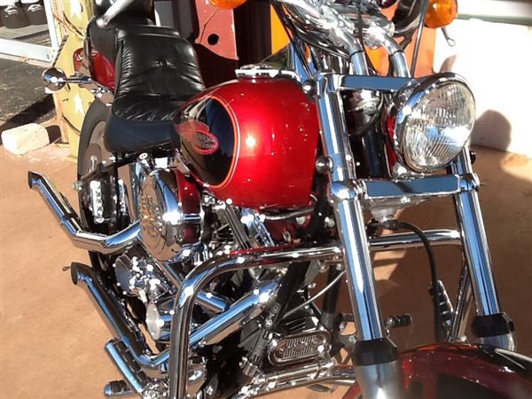 1999 Harley-Davidson FXSTC Softail Custom