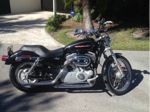 For sale or trade harley davidson sportster 883 custom year 2008