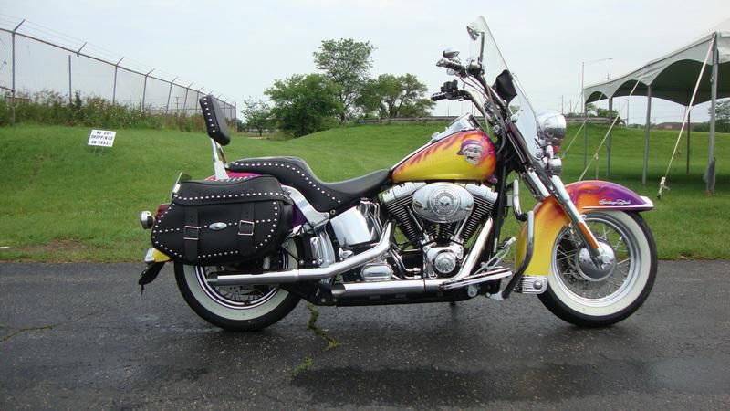 2002 harley-davidson flstc-heritage softail  cruiser 