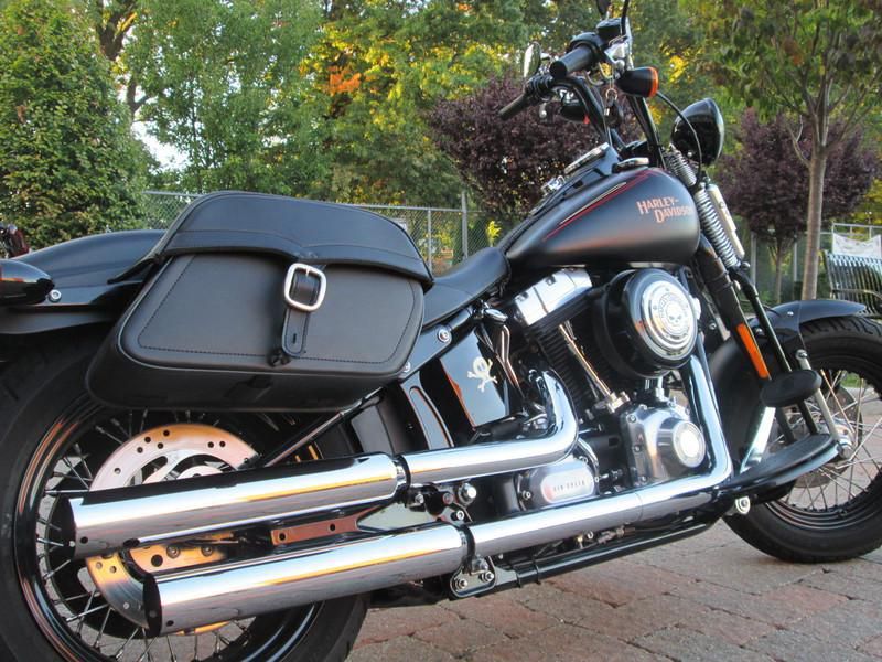 2009 harley-davidson flstsb - cross bones  cruiser 