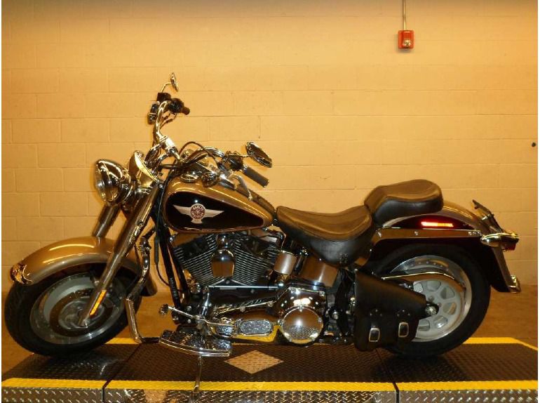 2005 harley-davidson flstf/flstfi fat boy 