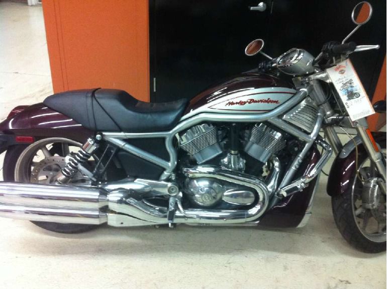 2006 harley-davidson v-rod 