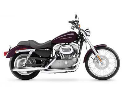 2005 harley-davidson sportster xl 883c