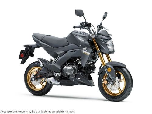 2024 Kawasaki Z125 PRO