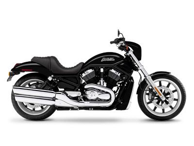 2007 harley-davidson night rod