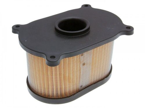 Air filter insert for Hyosung GT 125 250 650 Aquila 650-