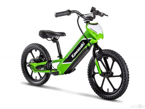 2023 kawasaki elektrode