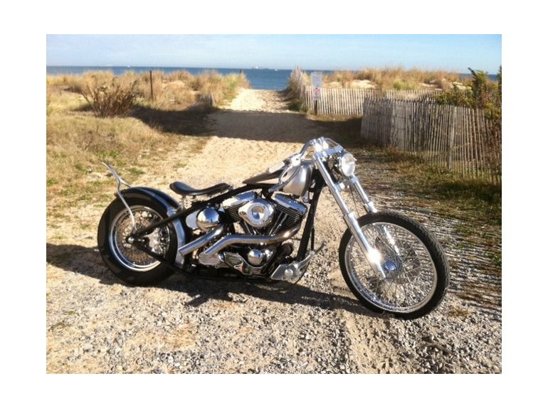 2009 harley-davidson custom other 