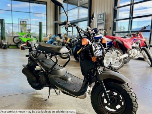 2024 Honda Ruckus