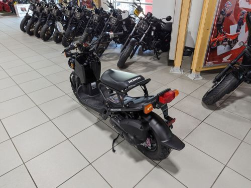 2024 Honda RUCKUS