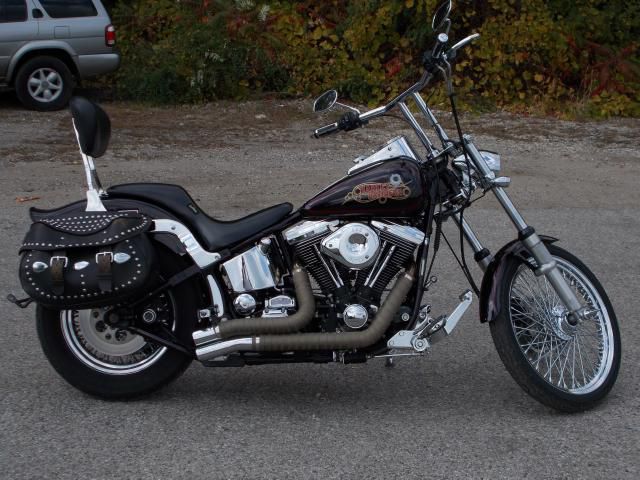 Used 1987 harley-davidson fxstc for sale.