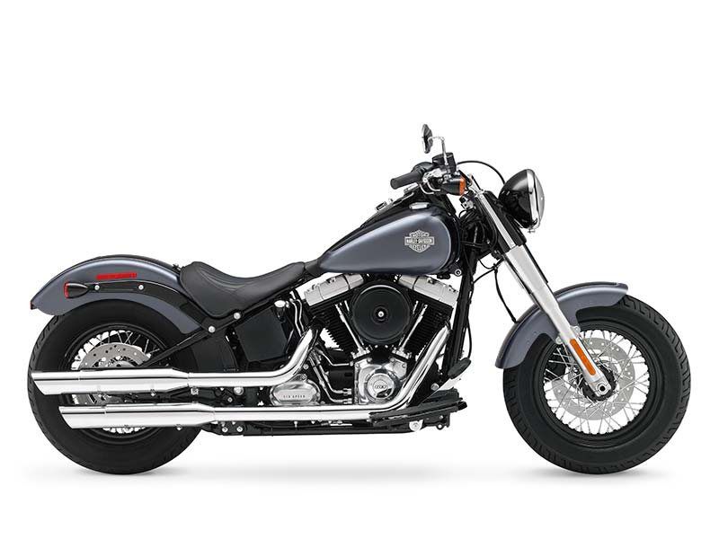 2014 harley-davidson fls softail slim