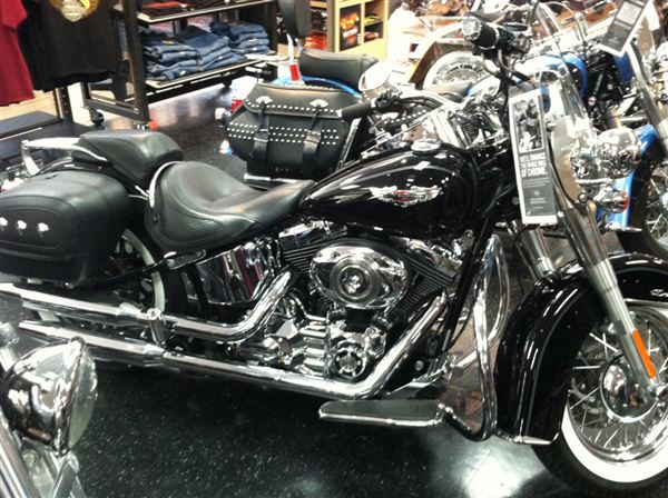 2008 harley-davidson flstn softail deluxe