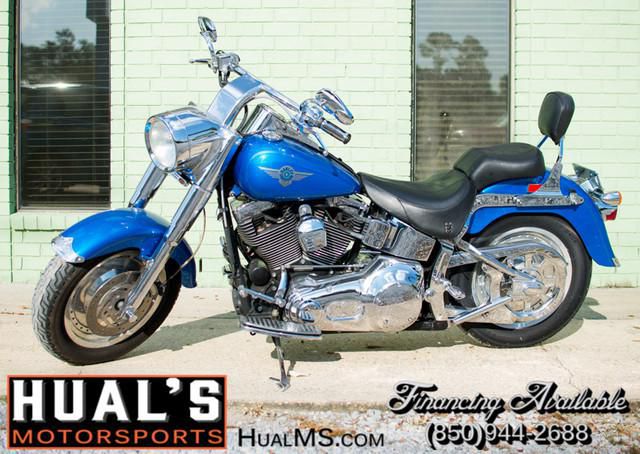 2002 Harley-Davidson FLSTFI Cruiser 