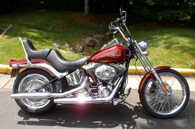 2009 harley-davidson fxstc - softail custom  cruiser 