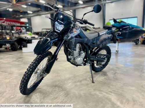 2024 Kawasaki KLX 300