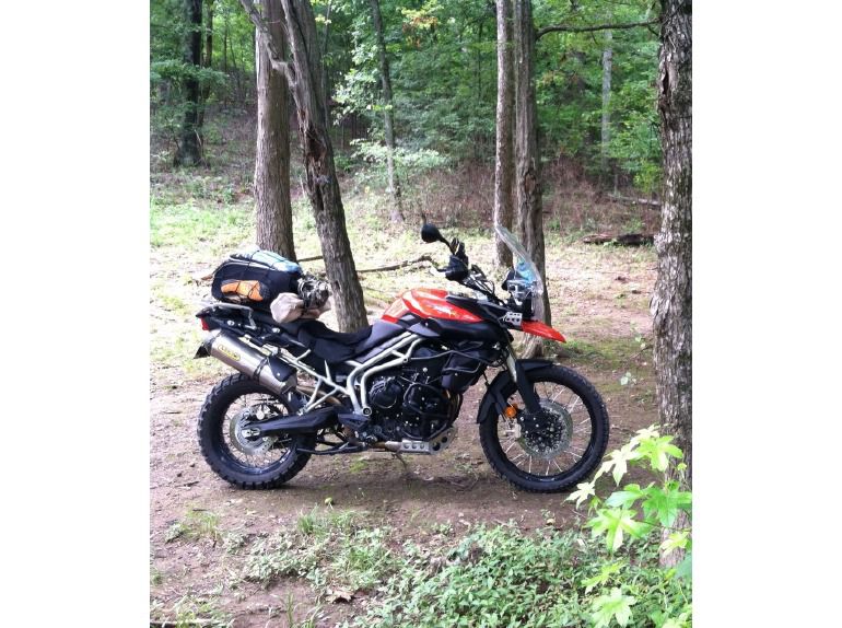 2011 triumph tiger 800 xc abs - intense orange 