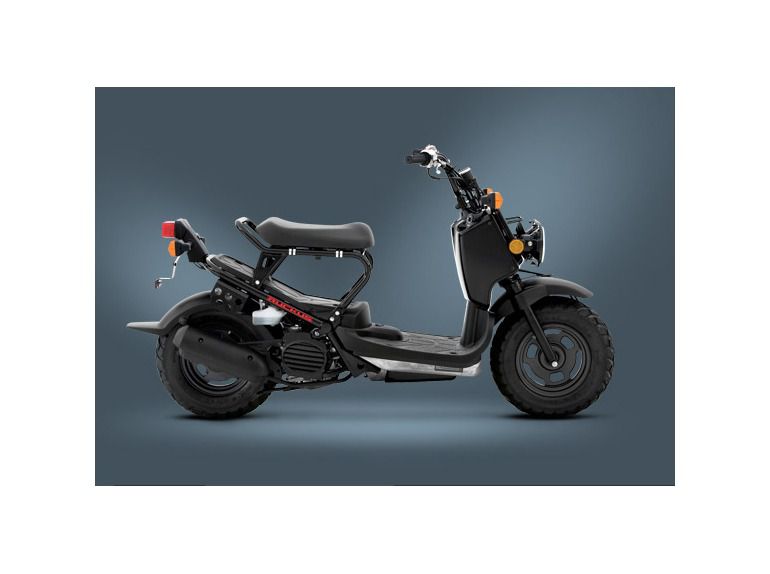 2013 honda ruckus 