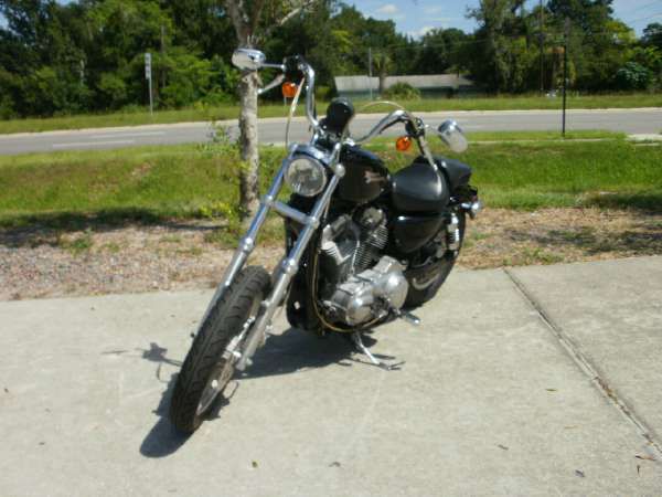 2008 harley-davidson xl 883 sportster 883